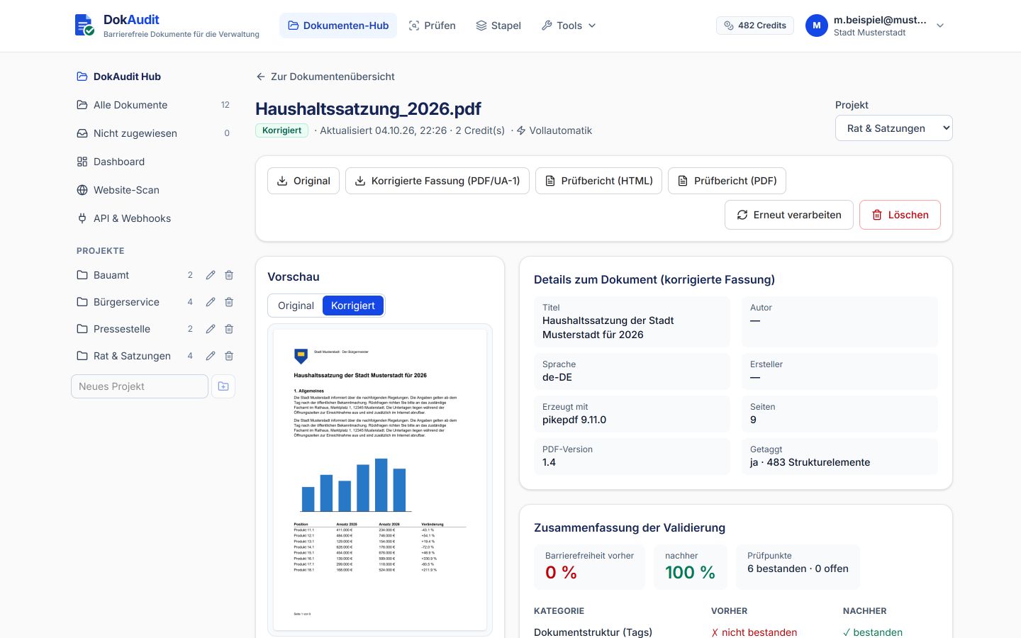 DokAudit test report with overall result and checkpoint grid.